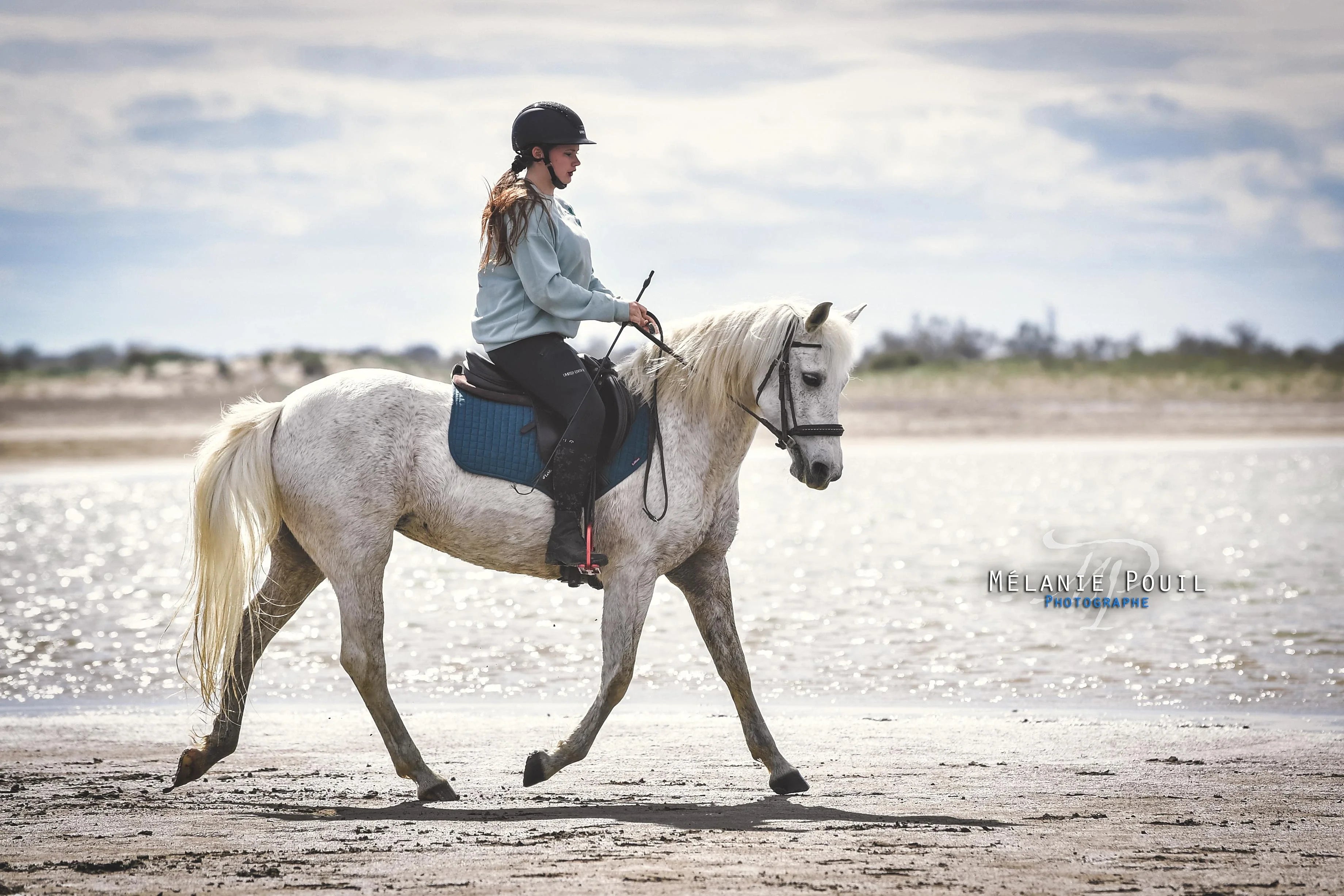 Soins naturels pour équidés : choisir selon le besoin - Ethic Horse