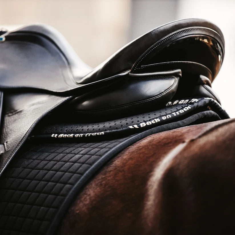 Amortisseur de selle Aurora