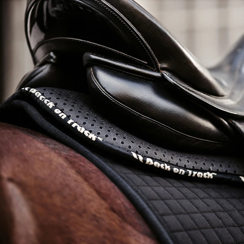 Amortisseur de selle Aurora
