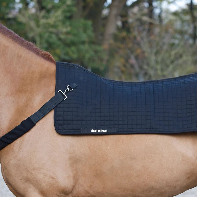 Chauffe-dos Royal - Ethic Horse