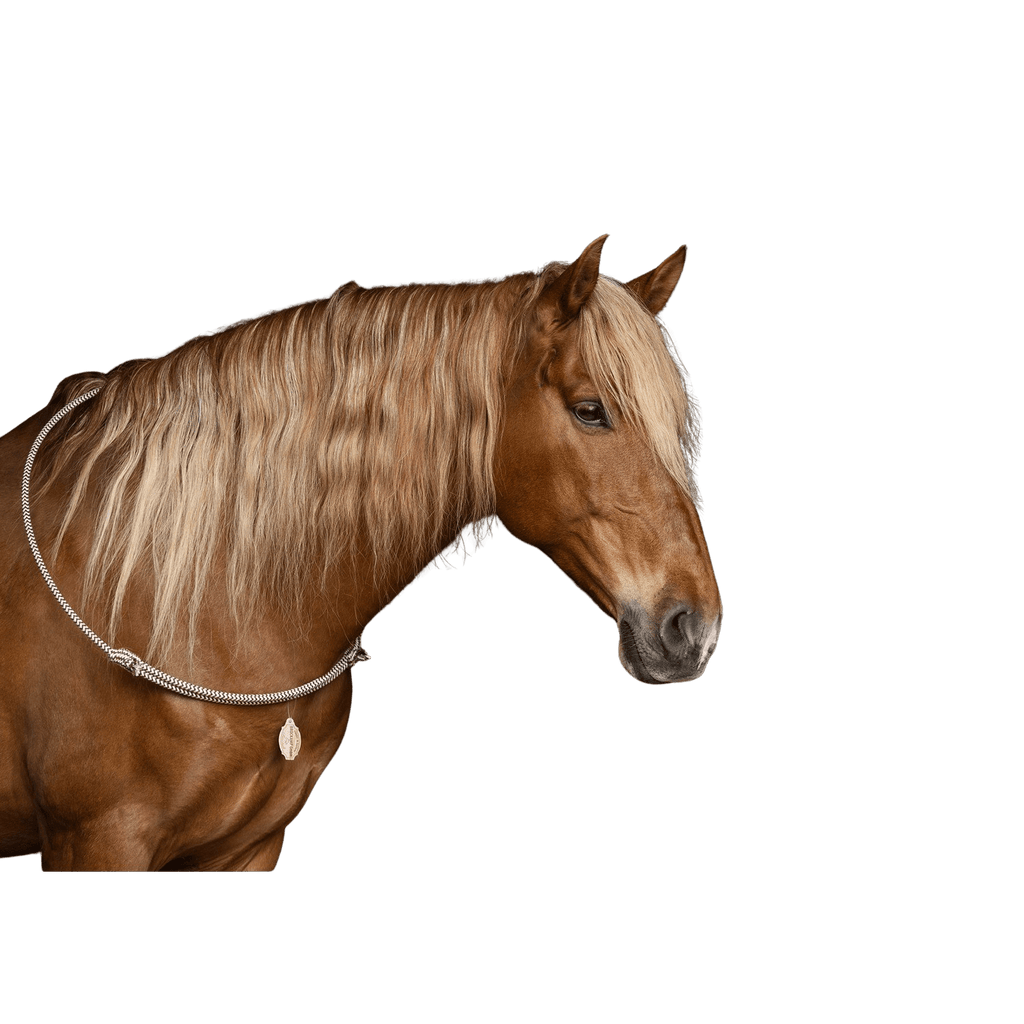 cordelette indéformable (breveté) - Ethic Horse