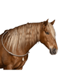 cordelette indéformable (breveté) - Ethic Horse