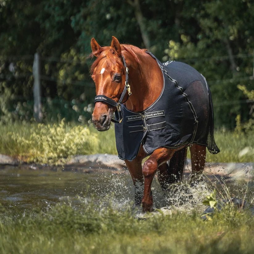 couverture en maille "Sienna" noir - Ethic Horse