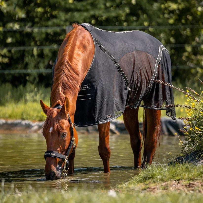 couverture en maille "Sienna" noir - Ethic Horse