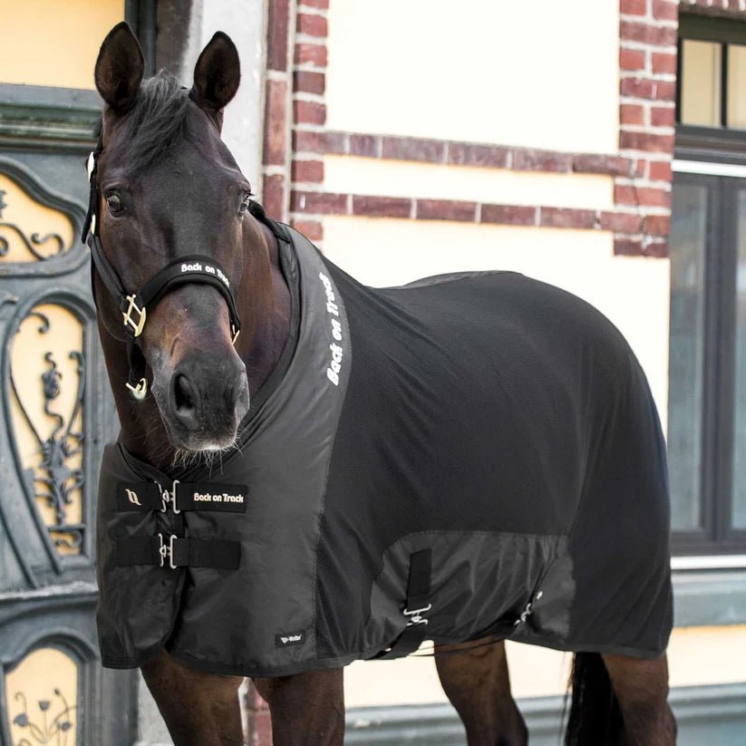 Couverture Royal en maille Deluxe - Ethic Horse