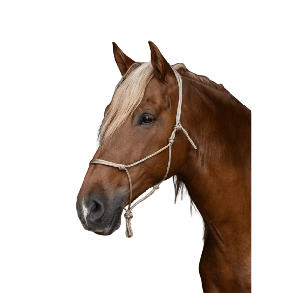 Licol Horse - Man pro - Ethic Horse