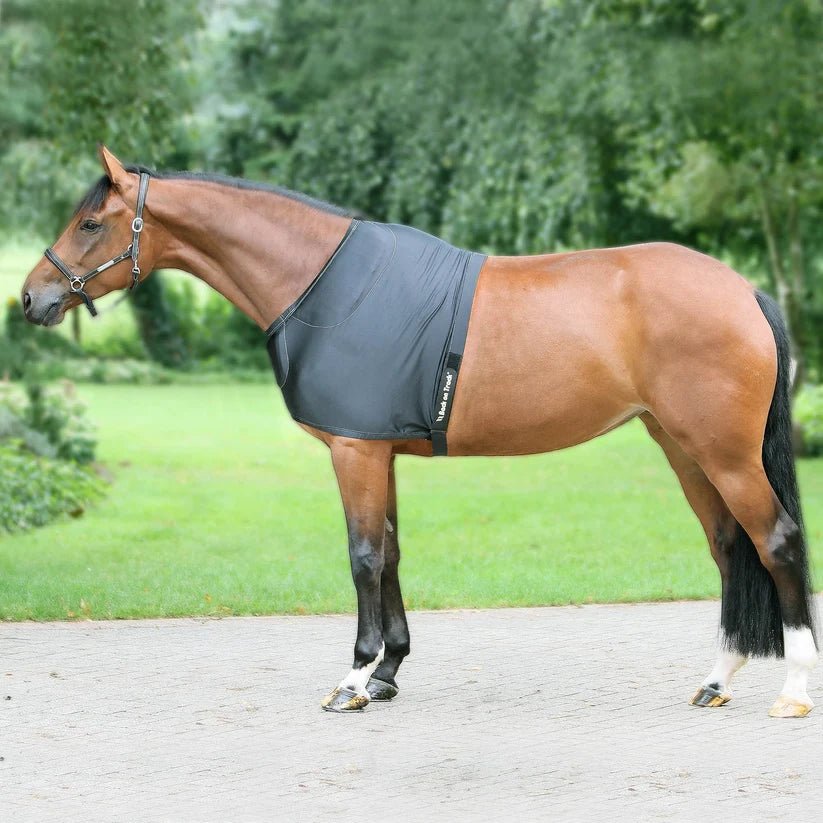 Protège épaule - Ethic Horse