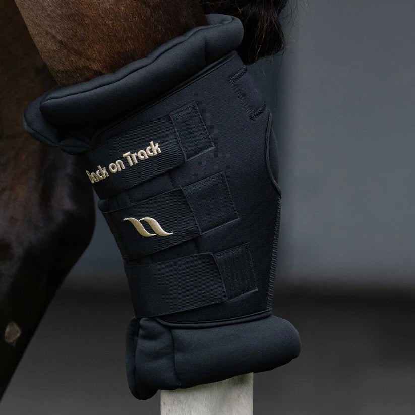 Protèges jarrets royal Deluxe - Ethic Horse