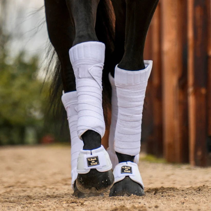 Sous bande Scandic - Ethic Horse